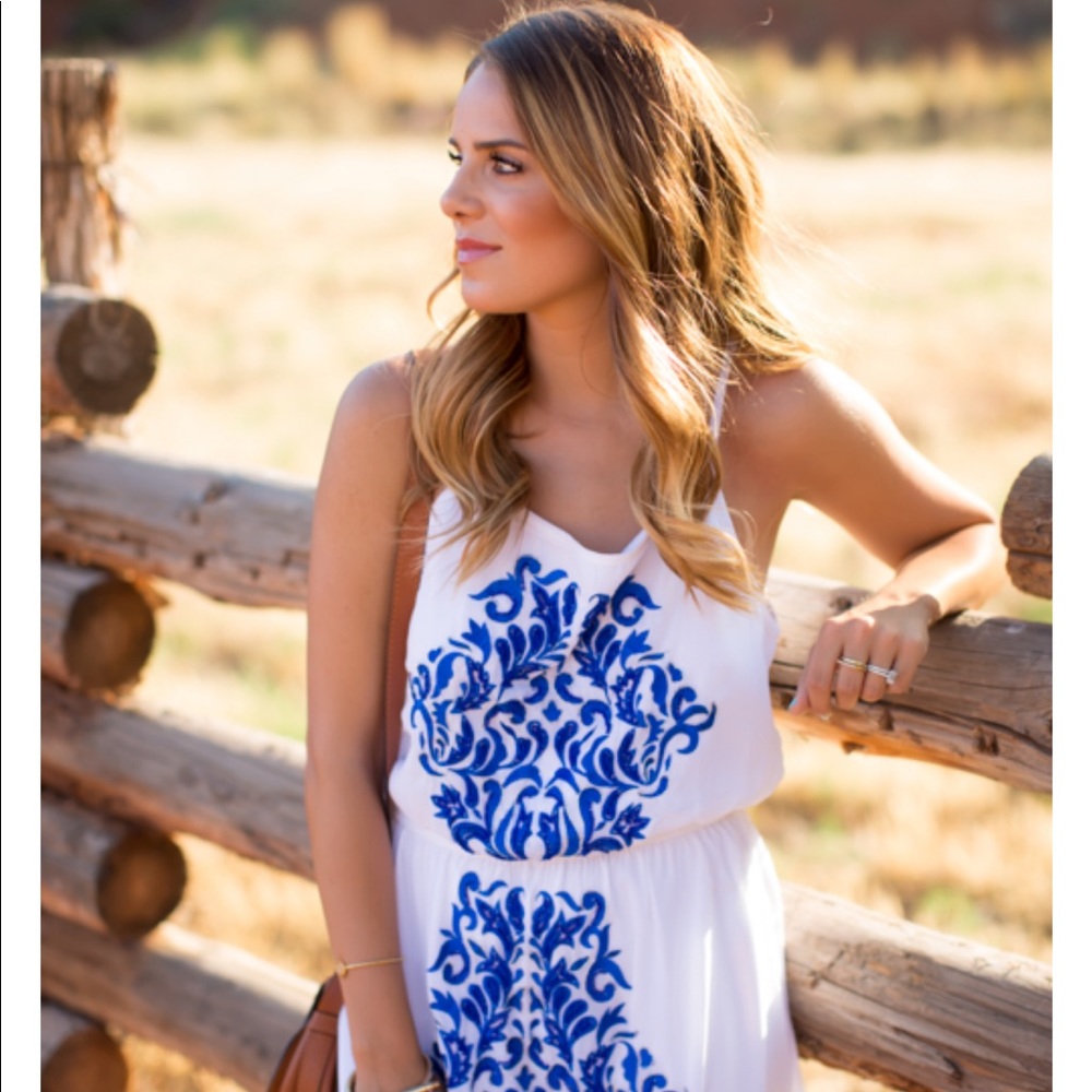 Gorgeous Sabine embroidered dress